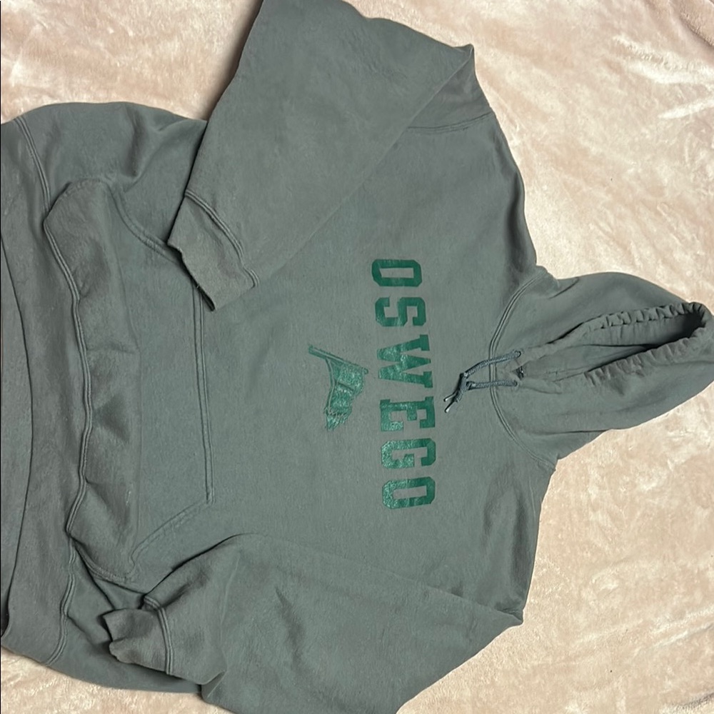 Gildan Green and Gray Oswego extra large sweatshirt